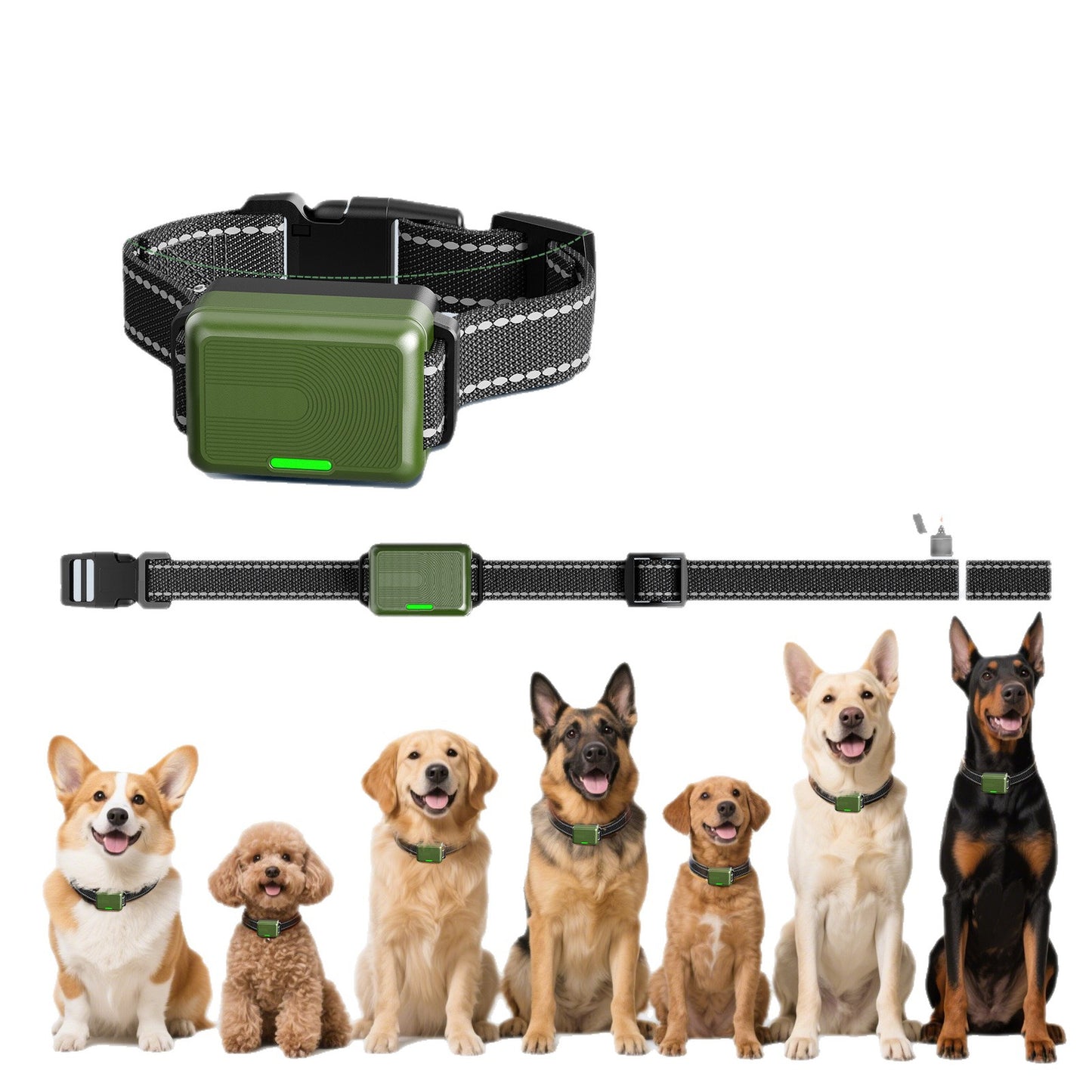 Collier de dressage pour chien étanche rechargeable avec télécommande – Choc, bip et vibration réglables