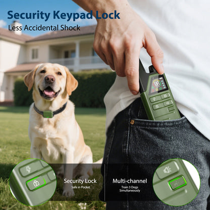 Collier de dressage pour chien étanche rechargeable avec télécommande – Choc, bip et vibration réglables