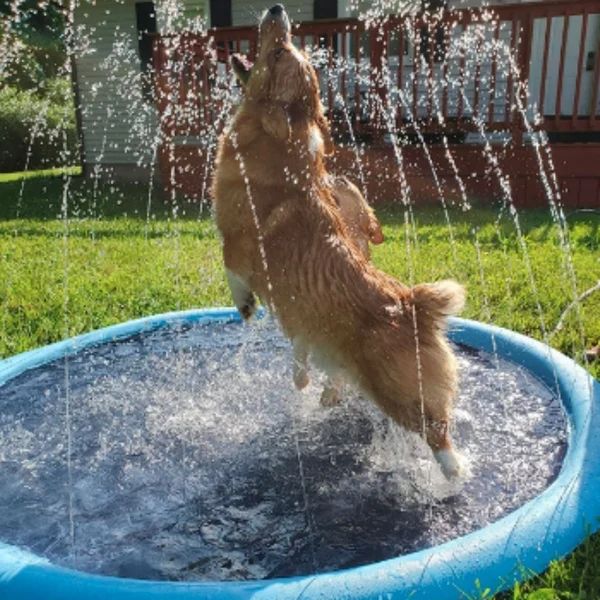 Backyard Splash Pad for Toddlers, Kids & Dogs – Large Sprinkler Water Play Mat